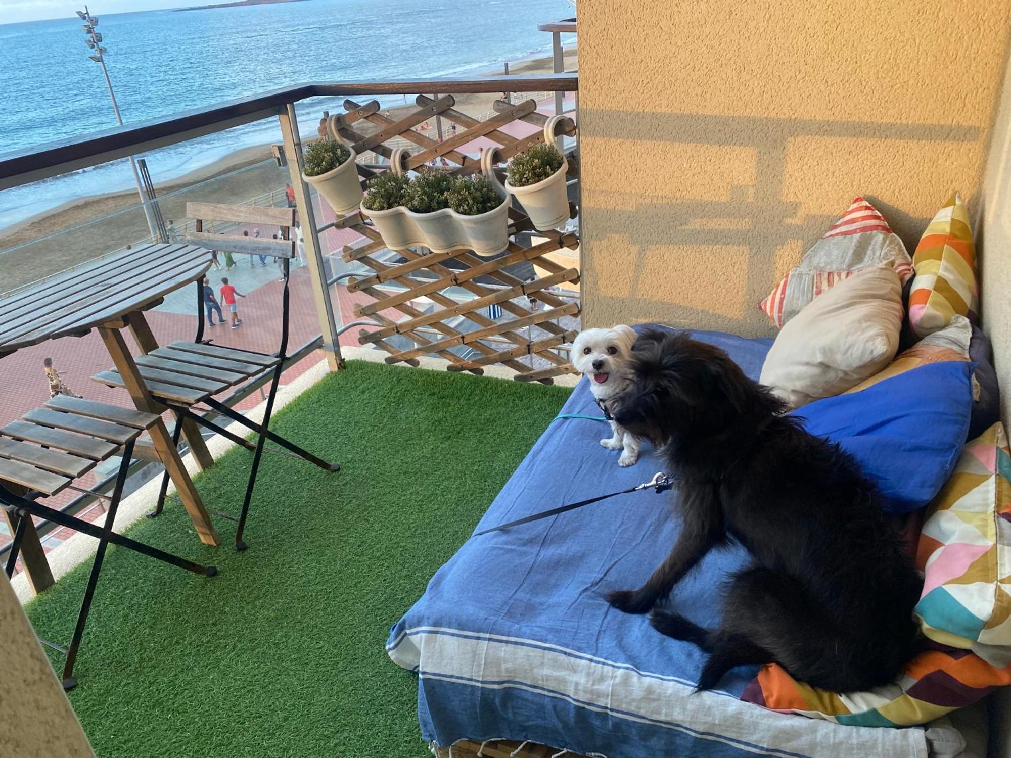Appartement Mar Y Playa De Martin, 2B à Las Palmas de Gran Canaria Extérieur photo